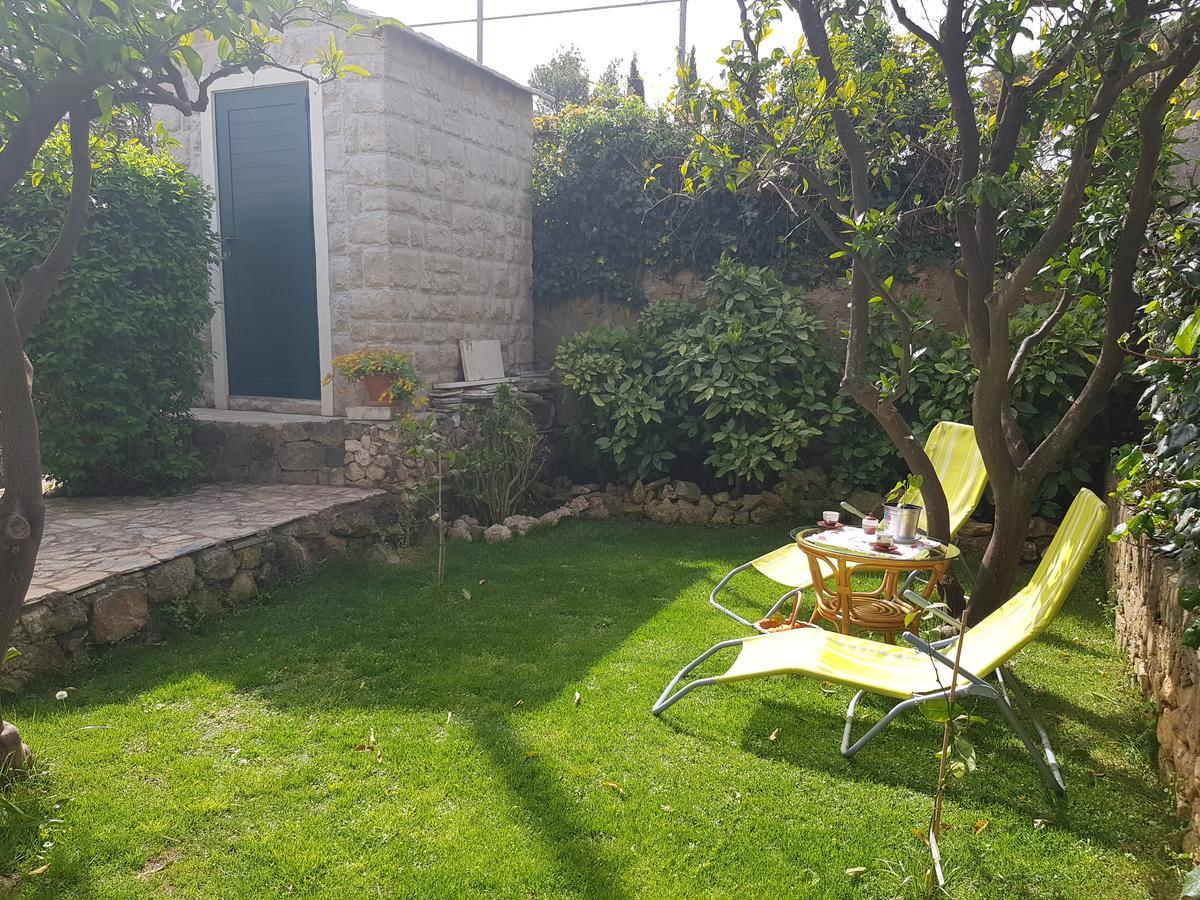 Alpha And Simba Apartment Dubrovnik